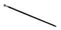 kula1.jpg